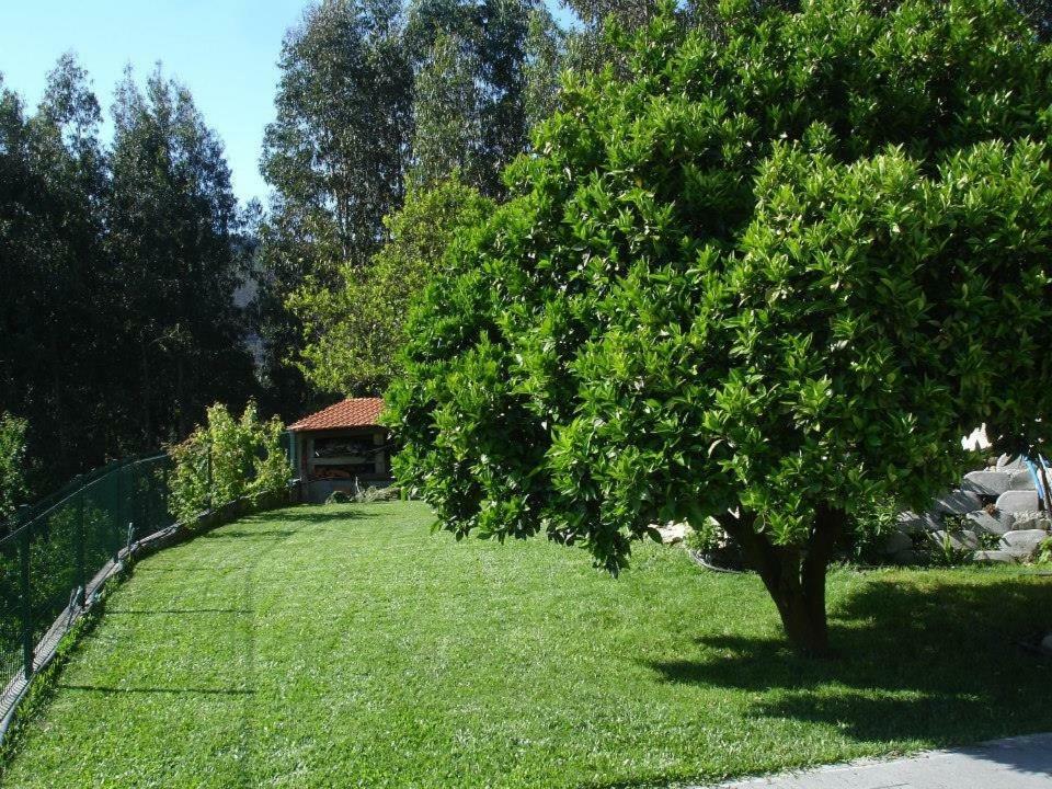 Villa Quinta Da Gaiya à Talhadas Extérieur photo